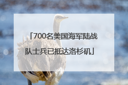 700名美国海军陆战队士兵已抵达洛杉矶
